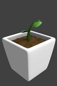 plant pot with sapling