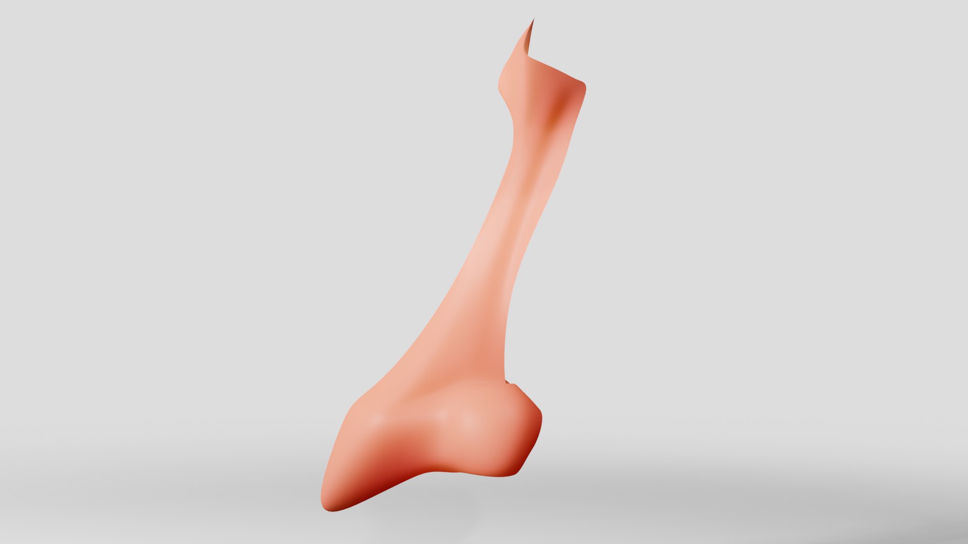 Cartoon Nose 16 - Low Poly 3D - TurboSquid 1953407