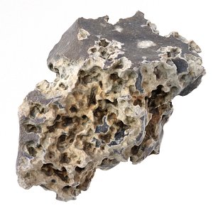 scanned porous rock pbr model