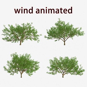 3D shrub bush plant