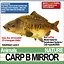 Carp B Mirror