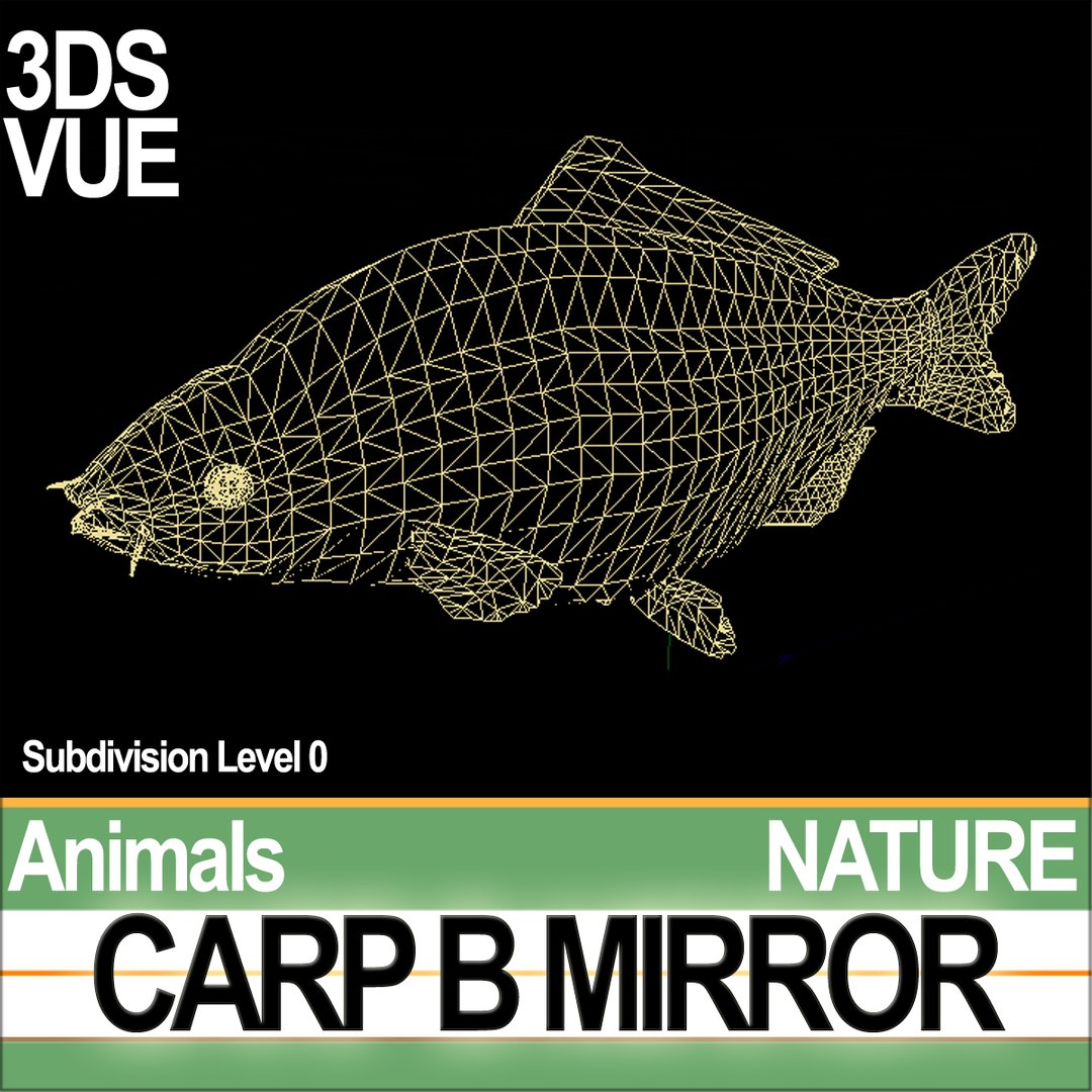 3D model carp b mirror https://p.turbosquid.com/ts-thumb/4g/2za0Bj/EH/naturecarpbmirrorc2/jpg/1683988047/1920x1080/fit_q87/39400687393ca8ba7f3c87df23fdda03f7ae657e/naturecarpbmirrorc2.jpg