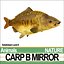 Carp B Mirror