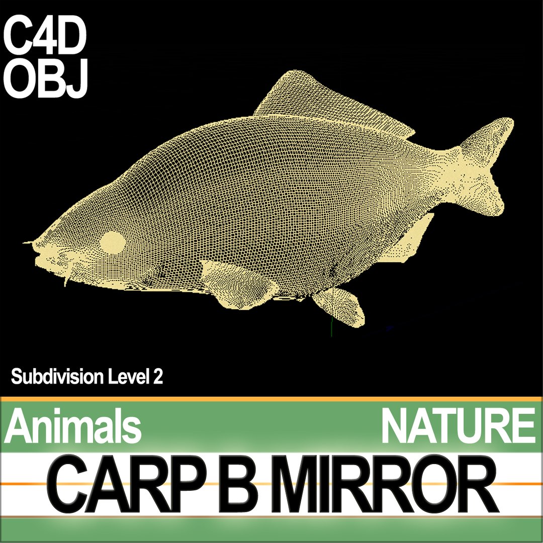 3D model carp b mirror https://p.turbosquid.com/ts-thumb/4g/2za0Bj/cV/naturecarpbmirrorc3/jpg/1683988065/1920x1080/fit_q87/0ae23d8f540f87e35c8e7161104af07f1a6f267a/naturecarpbmirrorc3.jpg