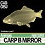 Carp B Mirror