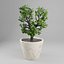 3D tree potty