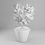 3D tree potty