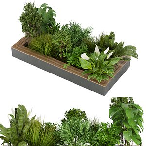 Collection plant vol 313 - outdoor - leaf - 3dmax - cinema 4d