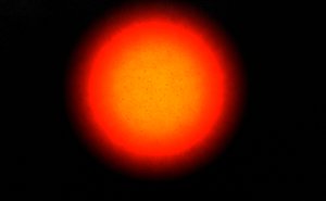 Lively sun