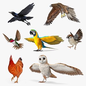 3D Rigged Birds Collection 3
