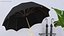 Parapluie noir à ouverture automatique