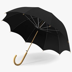 Auto Open Black Umbrella