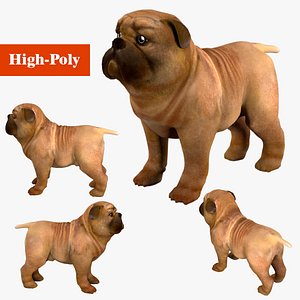 pug dog low-poly 3D model