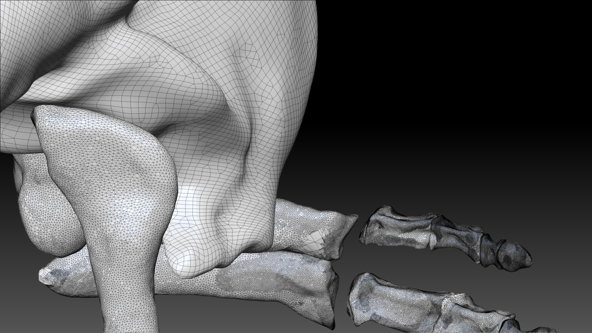 Tarbosaurus Bataar Arms Set 3D model https://p.turbosquid.com/ts-thumb/4g/RksGAY/v8/08/jpg/1653423417/1920x1080/fit_q87/ceb25ad427648208583ecd94a51e7520d70a3ef6/08.jpg