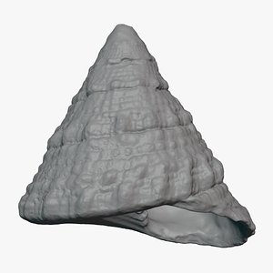 3D Tectus Pyramis for 3D Print model