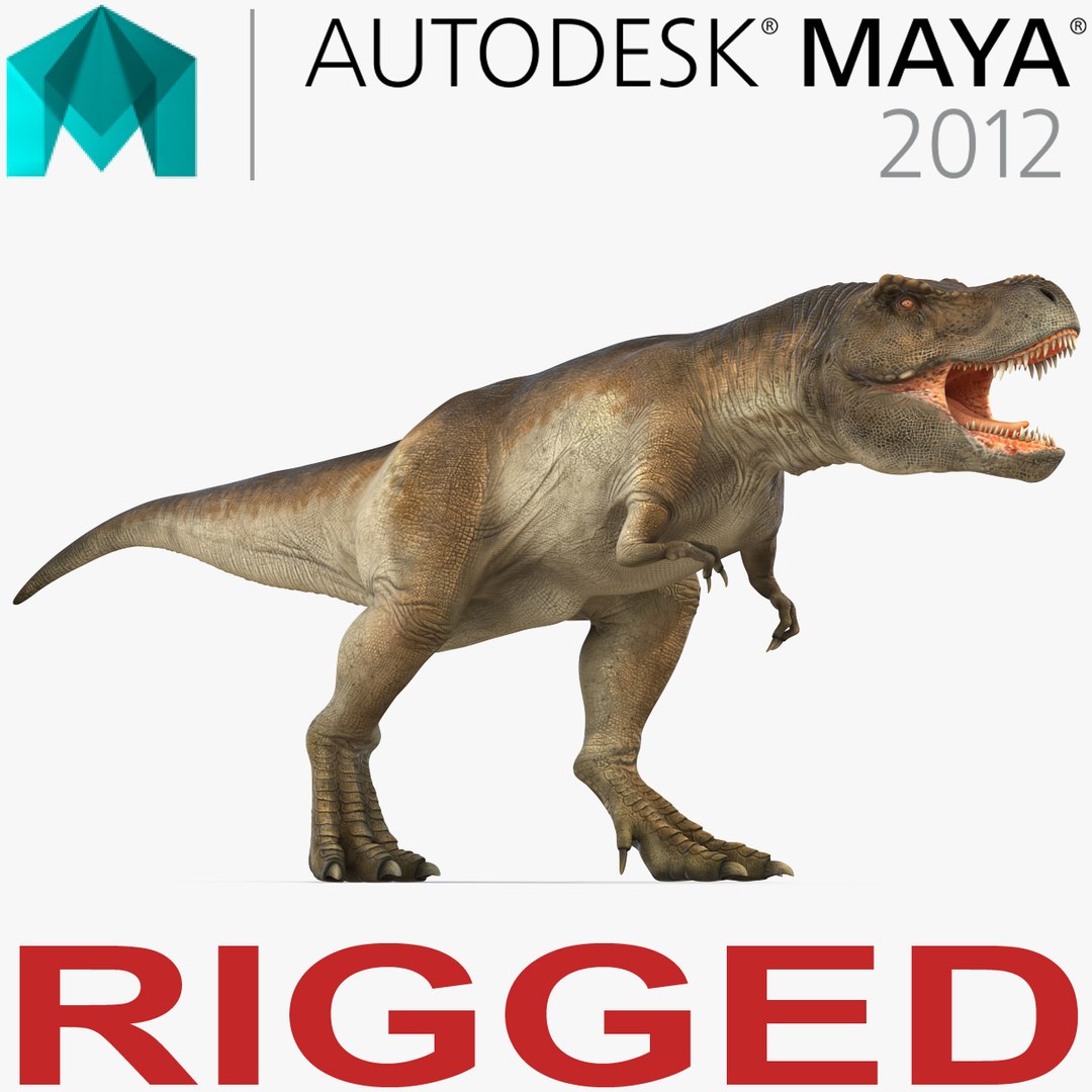 Tyrannosaurus Rex Rigged for Maya 3D model preview