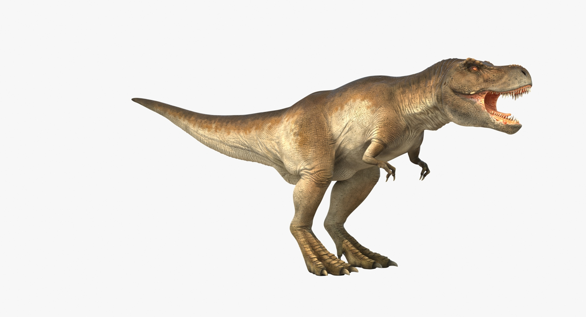 T Rex Running Animated Rigged for Maya 3D Model $179 - .ma - Free3D