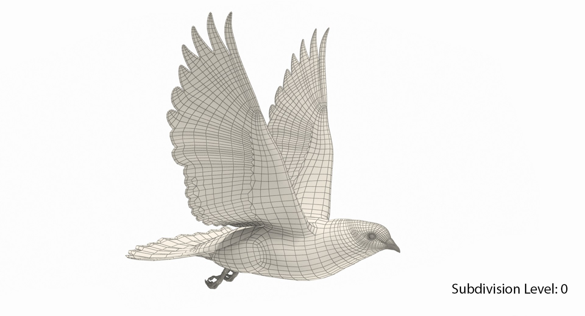 3D model city pigeon flying animation https://p.turbosquid.com/ts-thumb/4g/eiydOd/IvZLAnoR/w8/jpg/1531331949/1920x1080/fit_q87/bfb195ea10804548d9b22b7763eedc8cfbb27e6c/w8.jpg