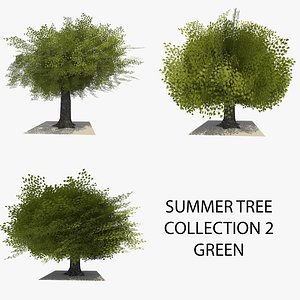 3d model 3 trees summer version