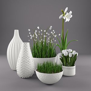 decorative set(2)
