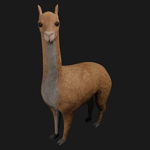 Llama Rigged Low Poly