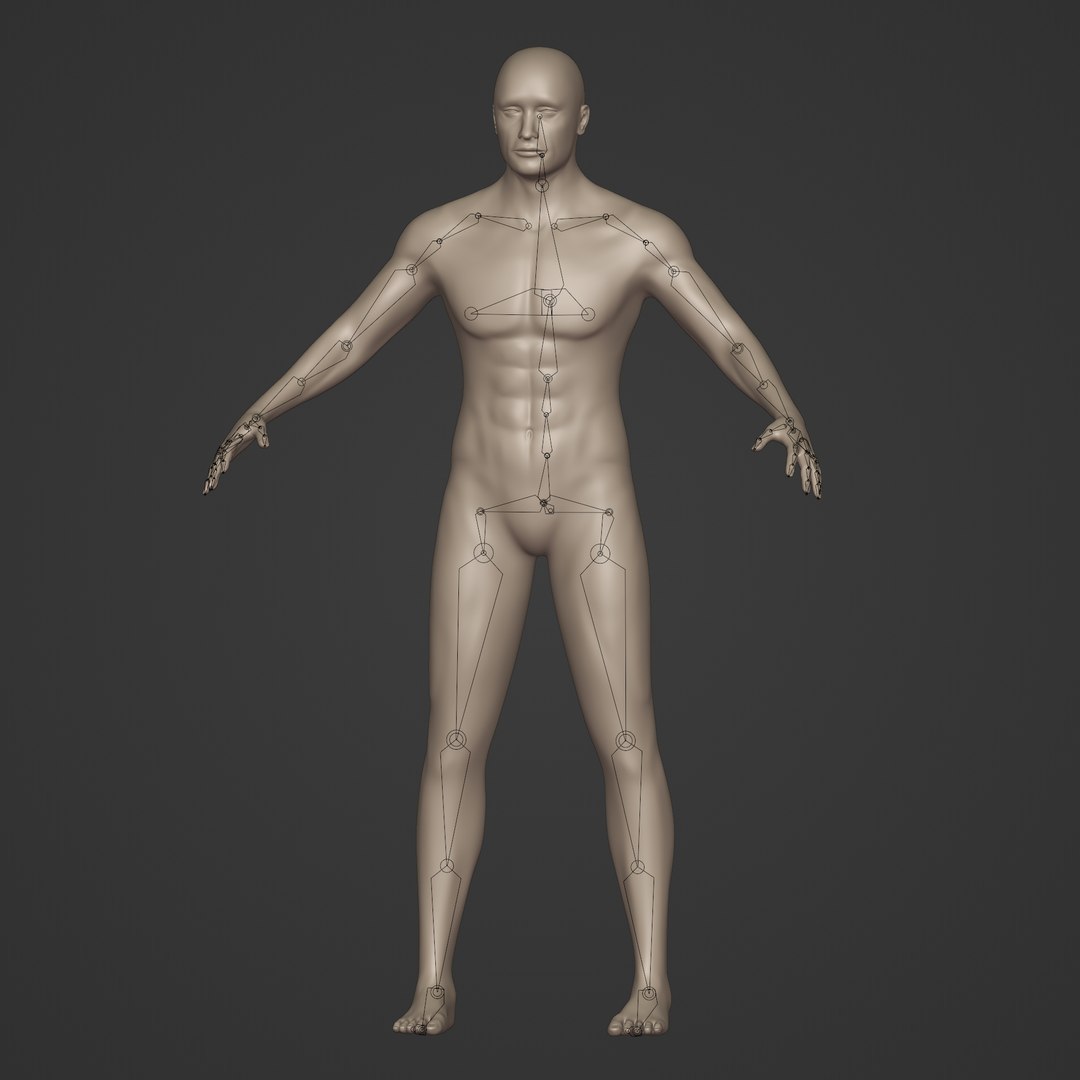 Man Base Mesh - Rigged 3D model https://p.turbosquid.com/ts-thumb/4g/xAtXHZ/LP/i5/jpg/1662111093/1920x1080/fit_q87/b60d9a280dea4641027da320c6bab34db64133ba/i5.jpg
