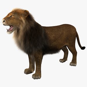 lion rigged 3d model