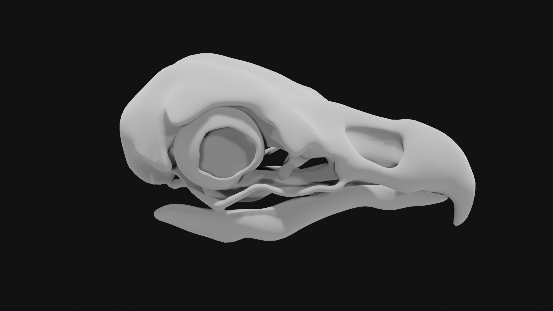 3D Eagle Skull - TurboSquid 1986114