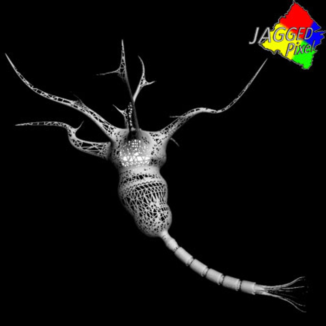 3ds max neuron https://p.turbosquid.com/ts-thumb/4h/A7sWMq/0SotuJnR/5/jpg/1189876051/1920x1080/fit_q87/7f100073705c0a04459ef98982a08e1ebdd3ff3d/5.jpg
