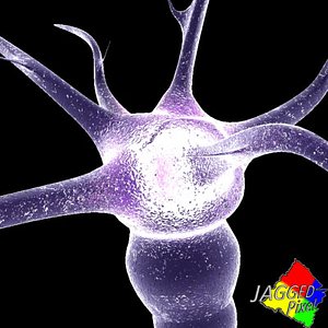 3ds max neuron