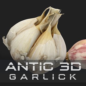 Garlic and a clove of garlic