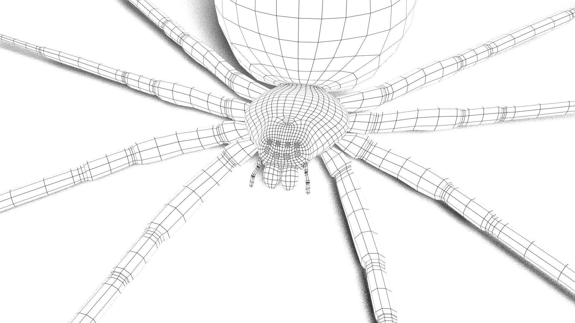 Spider Model - TurboSquid 2212163