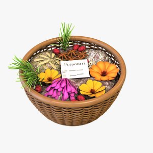 Home fragrance Potpourri 3D model