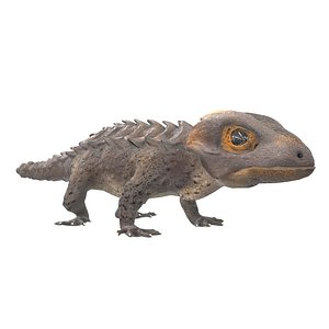 Crocodile skink lowpoly