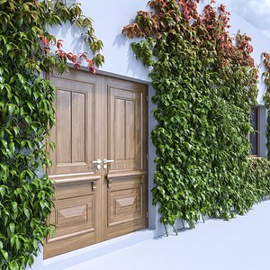 Ivy set 2