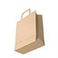3D Paper Bag model
