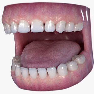 Child Baby Toddler Dental Mouth Teeth Tongue Rigged 3D Model