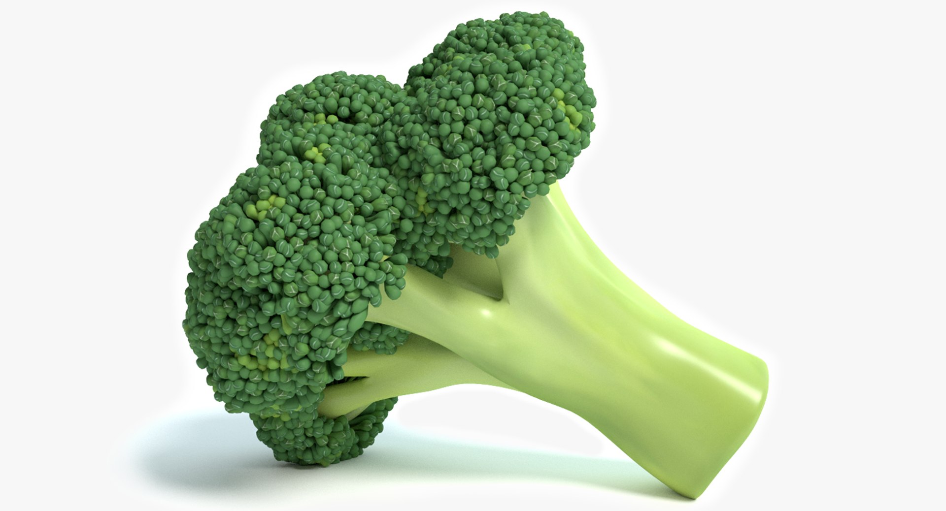 Broccoli 3d Max