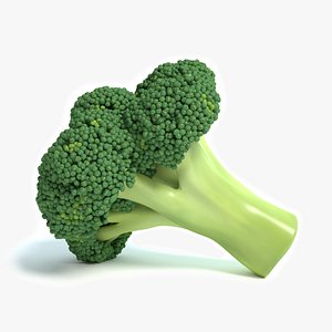 broccoli 3d max