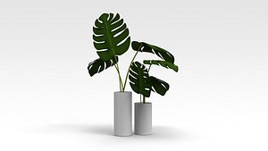 3D Pot Plant