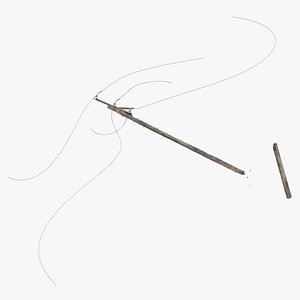 3D Telephone poles single model