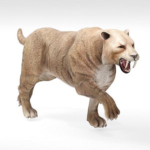 3D Realistic Smilodon Saber Toothed Tiger model