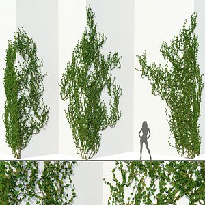 3D model corner walls