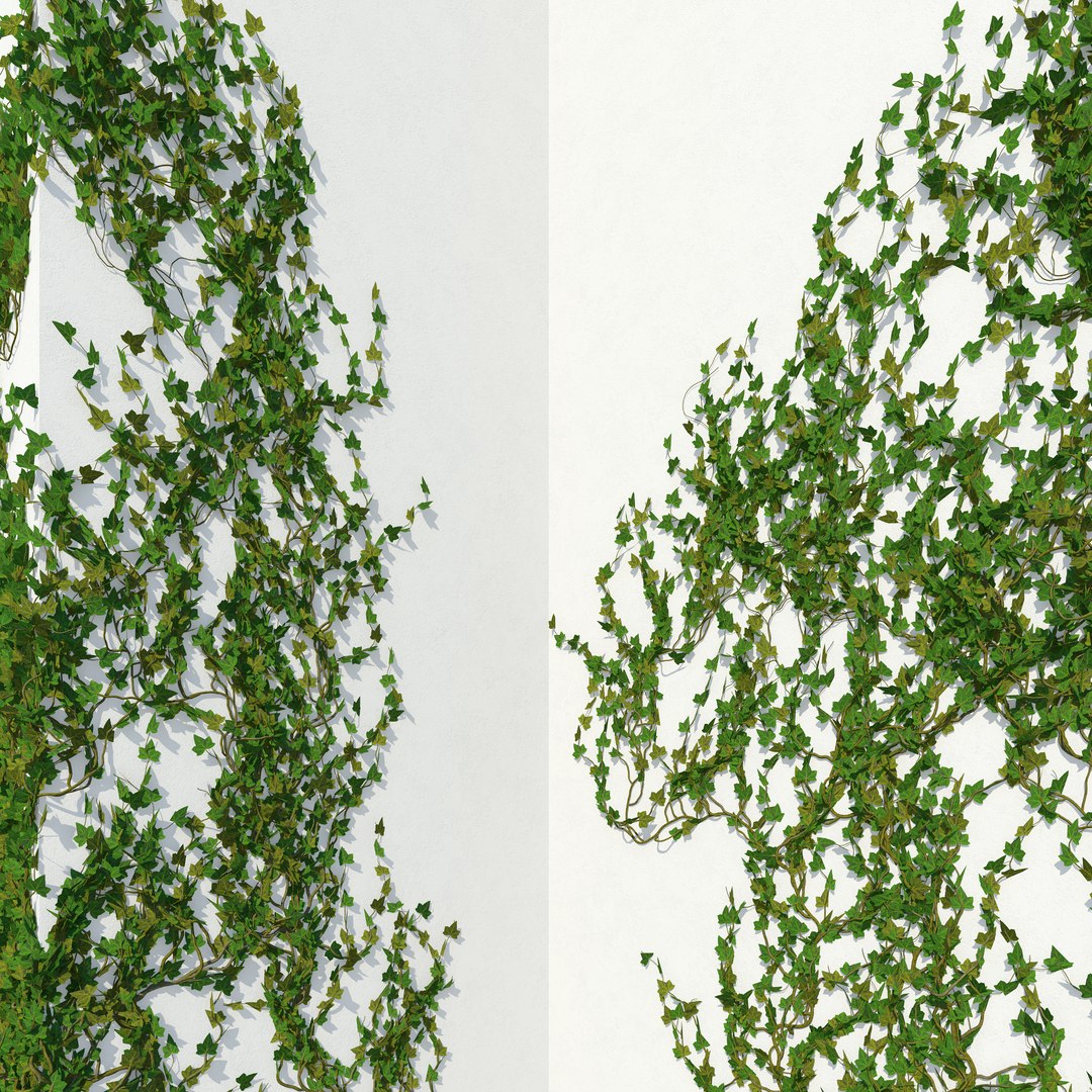 3D model corner walls https://p.turbosquid.com/ts-thumb/4i/EySzbR/wVVjnCIT/ivy_wall_corner_02_ts_03/jpg/1587166163/1920x1080/fit_q87/8066638f910c8e1a391de5b1df464cc6a000edca/ivy_wall_corner_02_ts_03.jpg