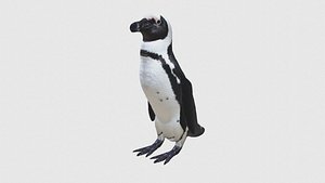3D Low Poly Penguin Rigged With Realistic Texture