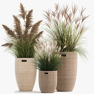 3D Ornamental plants in rattan baskets 1024 model
