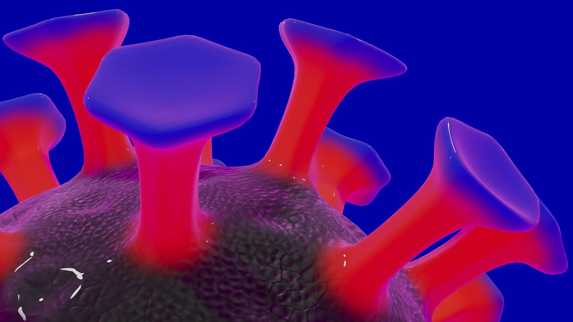 virus 3D model https://p.turbosquid.com/ts-thumb/4i/KX9PNN/pD0GXeMU/04/png/1584874160/1920x1080/fit_q87/ce394f665011e94dbfa0b8eff6cdd101efa90272/04.jpg