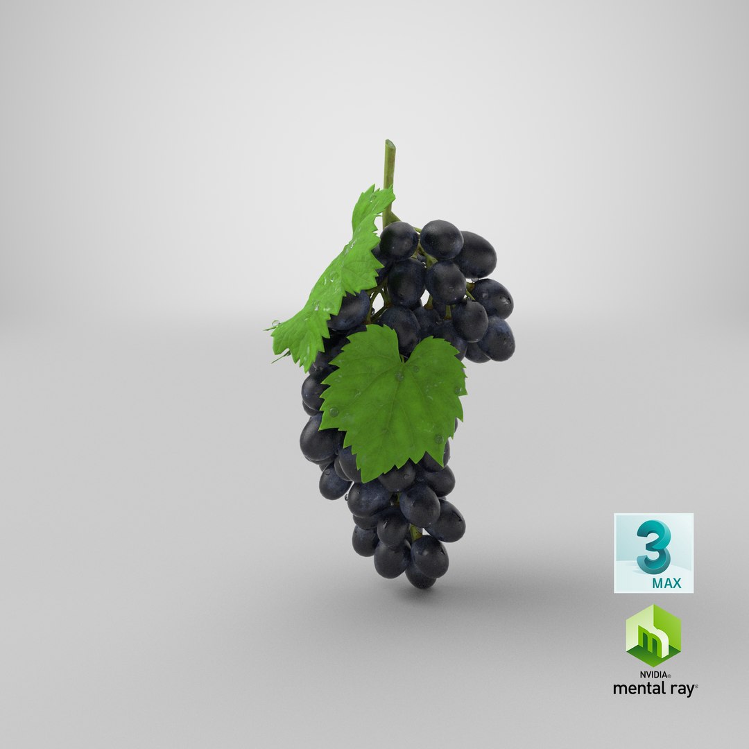 3D bunch black grapes https://p.turbosquid.com/ts-thumb/4i/SIK3oC/VY/stemcell_max_mental_ray_render/png/1636618266/1920x1080/fit_q87/1a38c1e2a8fac2d138454838b4d09901194f7f39/stemcell_max_mental_ray_render.jpg