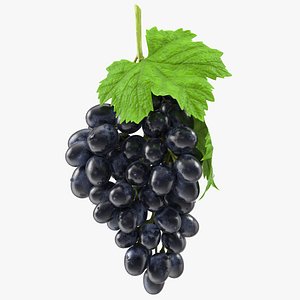 3D bunch black grapes