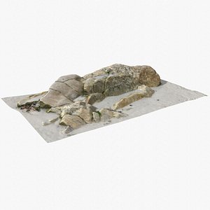 Rock 3D Scan 35